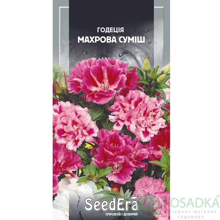 картинка Семена Годеция крупноцветная махровая смесь 0,3 г Seedera 