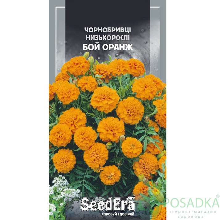 картинка Семена Бархатцы Низкорослые Бой Оранж 0,3г, Seedera 