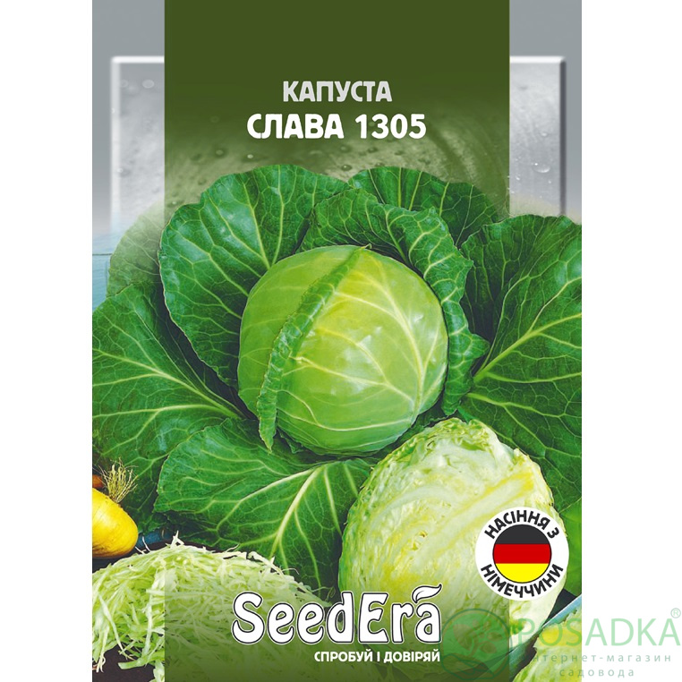 картинка Семена Капуста Белоголовая Слава 1305, 0,5г, Seedera 