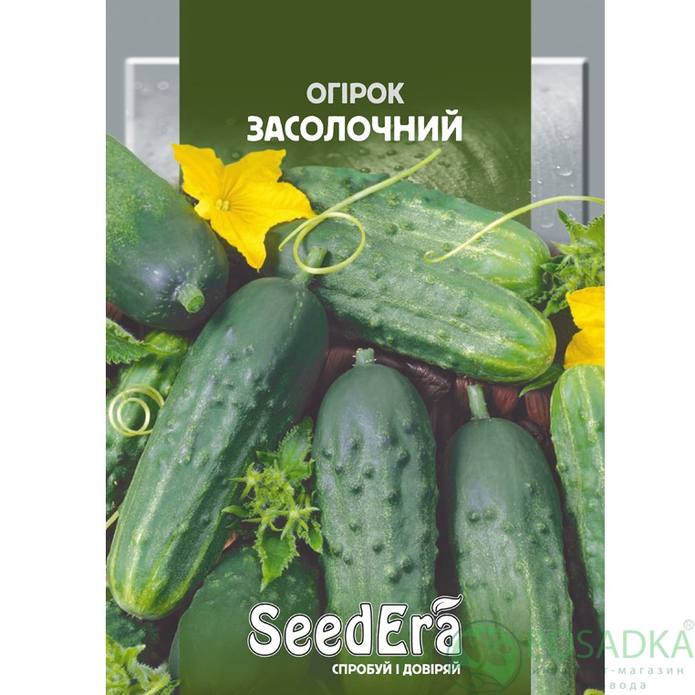 картинка Семена Огурец Засолочный 10 г, SeedEra картинка Семена Огурец Засолочный 10 г, SeedEra