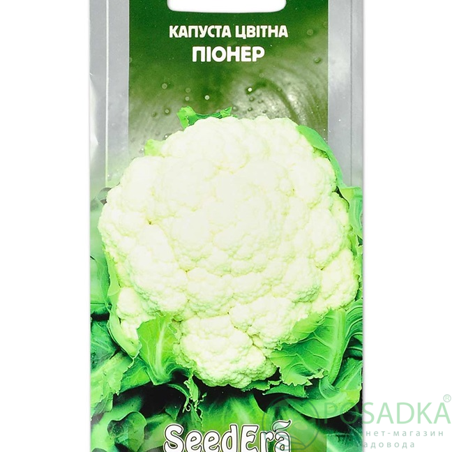 картинка Семена Капуста цветная Пионер, 0.3 г, Seedera 