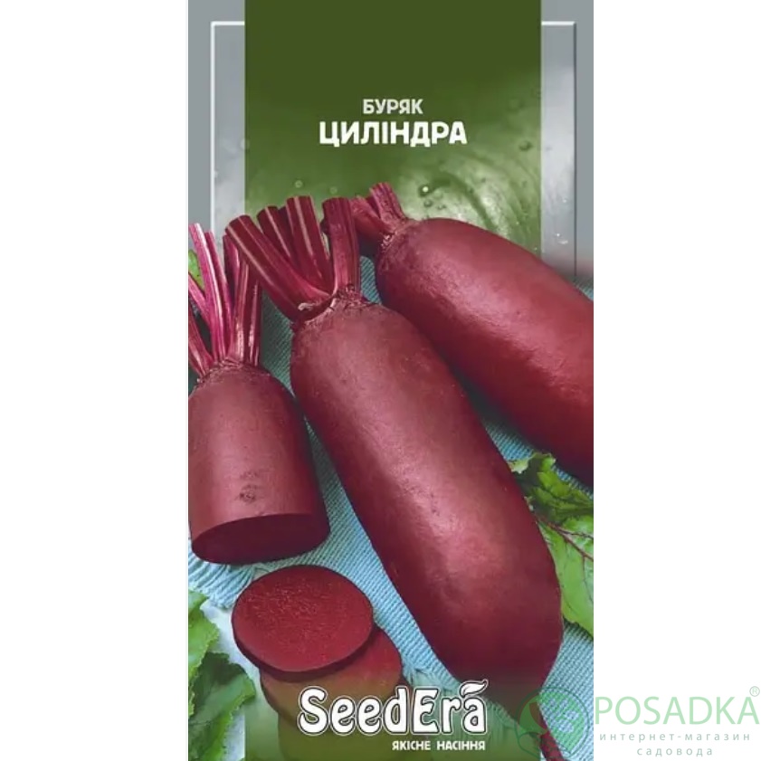 картинка Семена свекла Столовая Цилиндра 20 г, SeedEra 