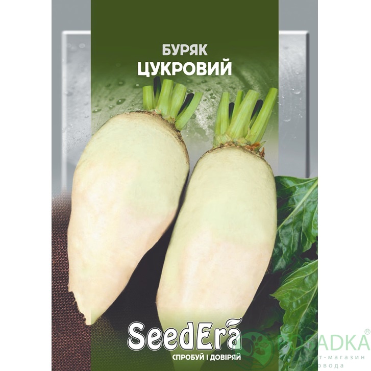 картинка Семена Свекла Столовая Сахарная 3 г, SeedEra 