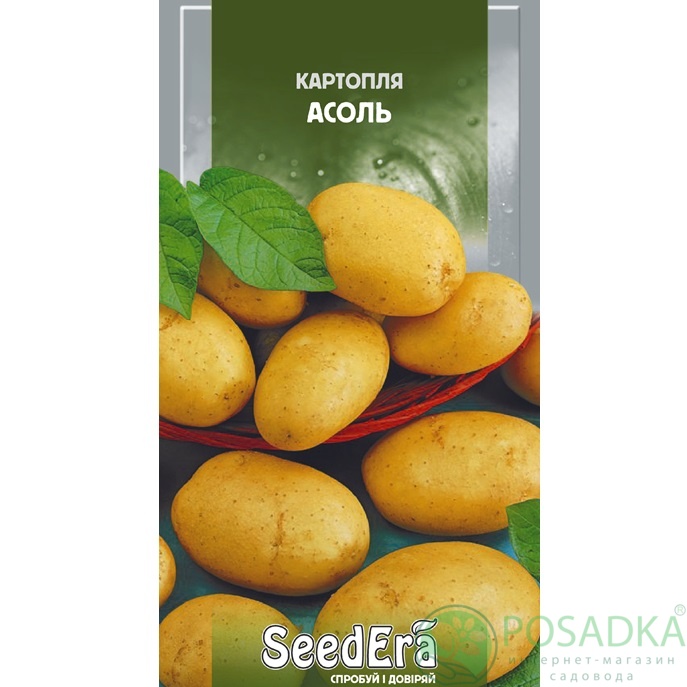картинка Семена Картофель Ассоль 0,02 г, Seedera 