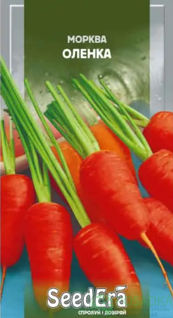 картинка Семена Морковь столовая Алёнка 2 гр, Seedеra 