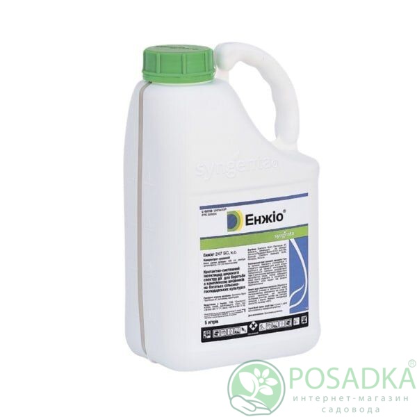 картинка Инсектицид Энжио 5 л, Syngenta 
