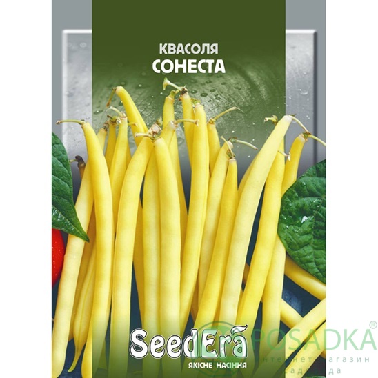 картинка Семена фасоль спаржевая Сонеста F1, 20 г, Seedera картинка Семена фасоль спаржевая Сонеста F1, 20 г, Seedera