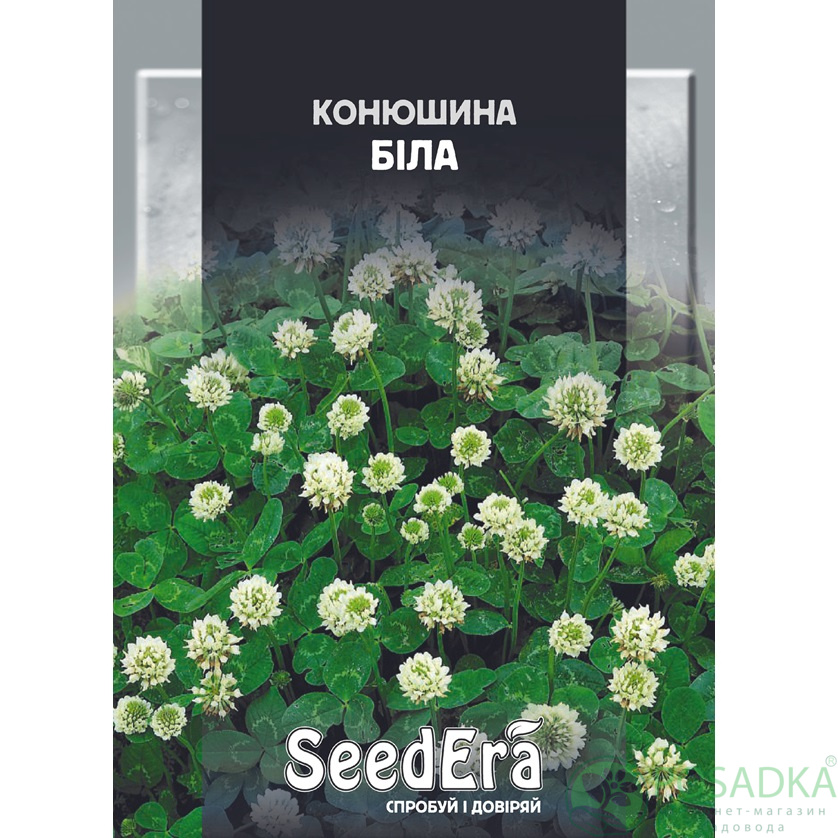 картинка Клевер белый 20 г, Seedera 