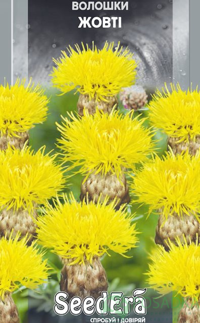 картинка Васильки Желтые многолетние семена (0.5гр) 