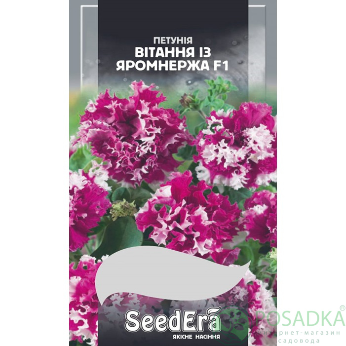 картинка Семена Петуния Бахромчатая Крупноцветковая Низкорослая Поздравления из Яромнержа F1, 10 шт, Seedera 