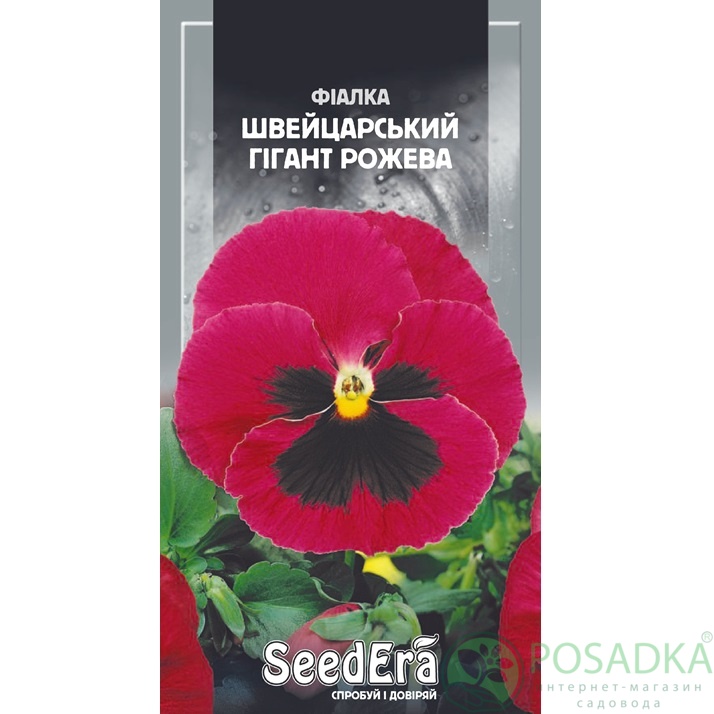 картинка Семена Фиалка Садовая Двулетняя Швейцарский Гигант Розовый 0,1г, Seedera картинка Семена Фиалка Садовая Двулетняя Швейцарский Гигант Розовый 0,1г, Seedera