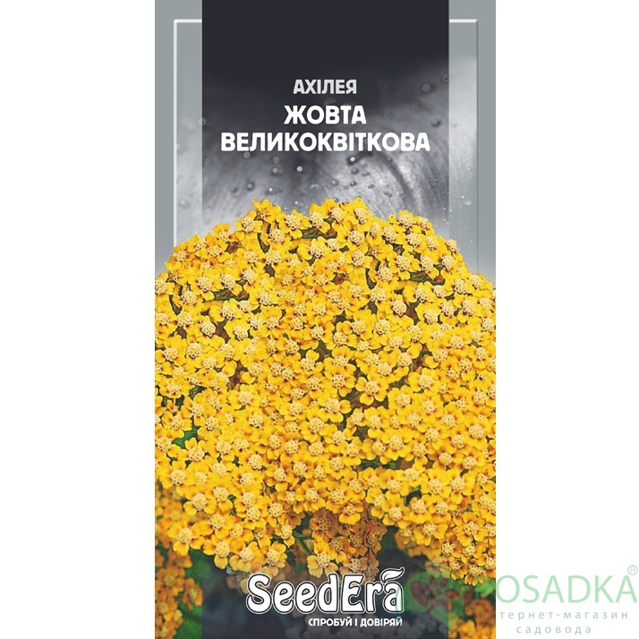 картинка Семена Ахиллея Желтая крупноцветная многолетняя 0,1 г, Seedera 