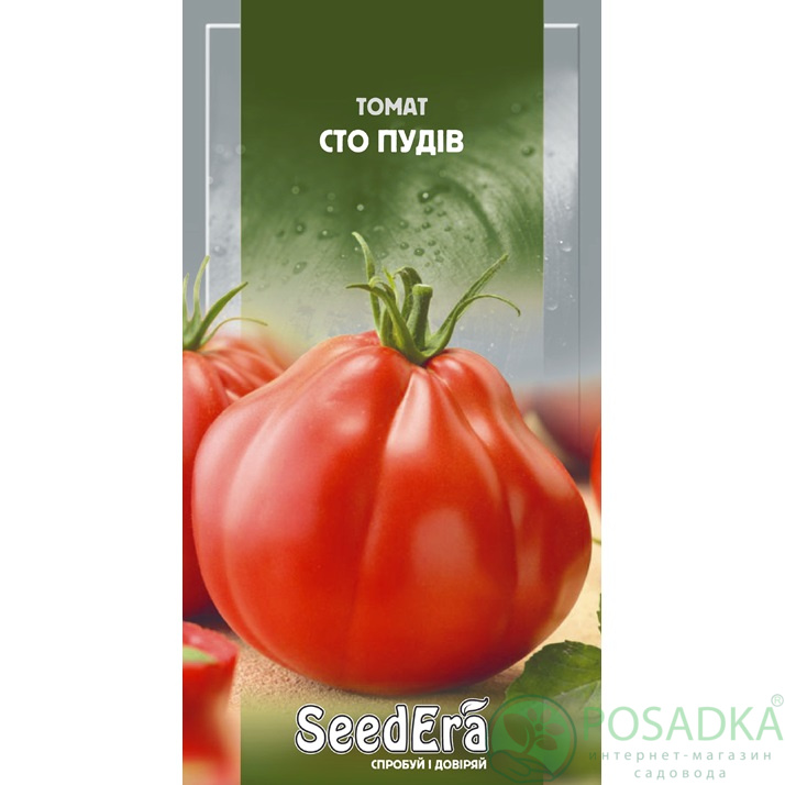 картинка Семена Томат Сто Пудов 0,1 г, Seedera картинка Семена Томат Сто Пудов 0,1 г, Seedera