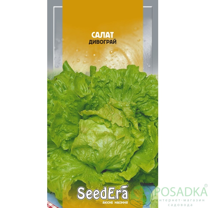 картинка Салат кочанный Дивограй 1 г, Seedera картинка Салат кочанный Дивограй 1 г, Seedera
