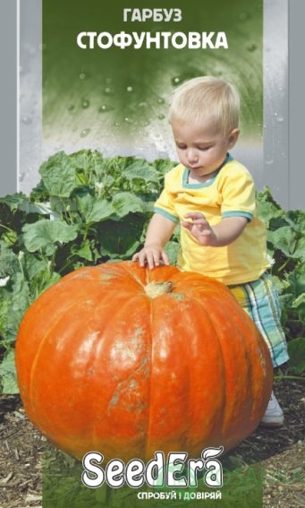 картинка Семена Тыква Стофунтовка 3 г, Seedera 