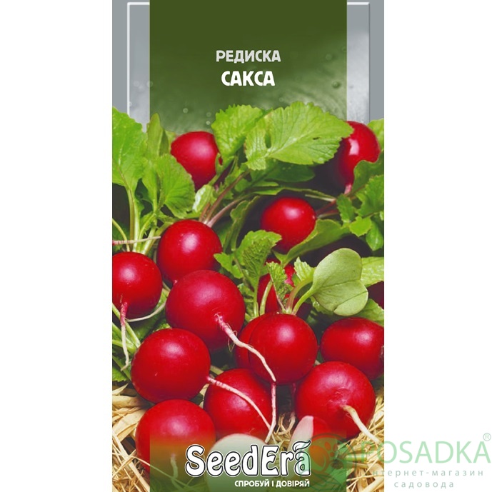 картинка Семена Редис Сакса 20г, SeedEra картинка Семена Редис Сакса 20г, SeedEra