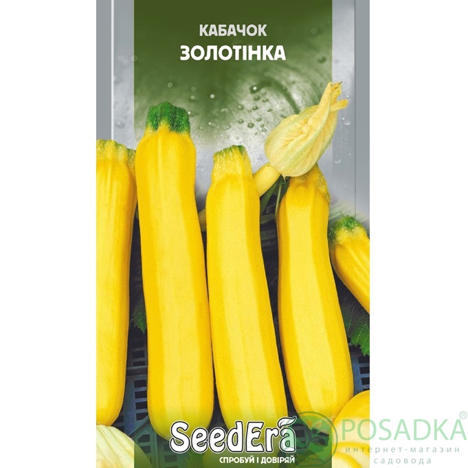 картинка Семена кабачок Золотинка 10 г, SeedEra картинка Семена кабачок Золотинка 10 г, SeedEra