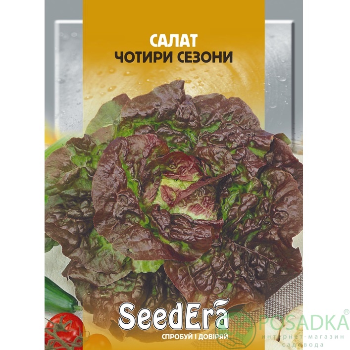 картинка Семена Салат Четыре Сезона 1 г, SeedEra картинка Семена Салат Четыре Сезона 1 г, SeedEra