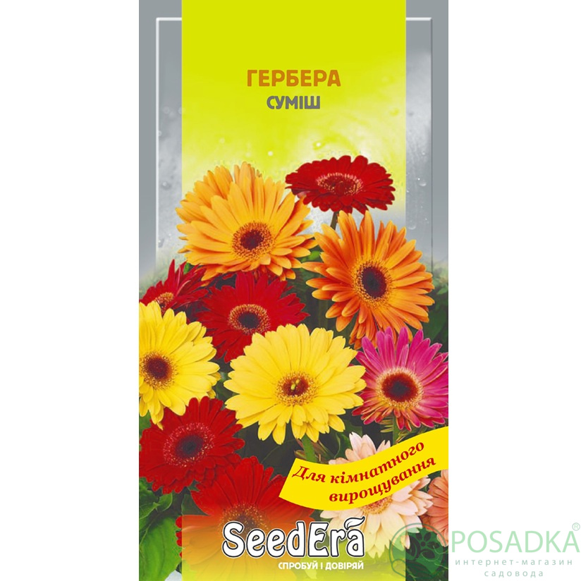картинка Семена гербера Смесь комнатная 5 шт, SeedEra картинка Семена гербера Смесь комнатная 5 шт, SeedEra