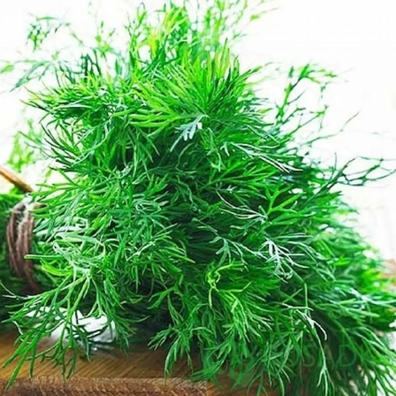 картинка Семена укроп Аллигатор, 20 г, Seedera 
