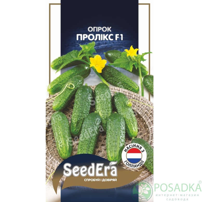 картинка Семена Огурец Проликс F1, 10 шт Seedera Profi картинка Семена Огурец Проликс F1, 10 шт Seedera Profi