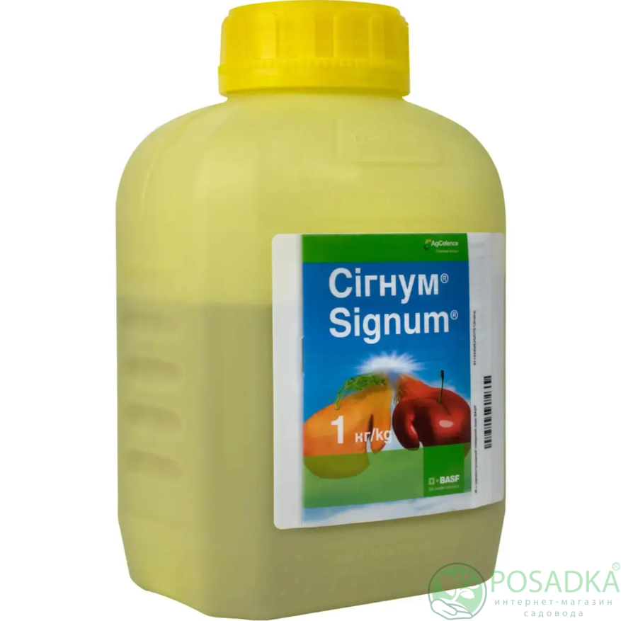 картинка Фунгицид Сигнум 1 кг Basf 