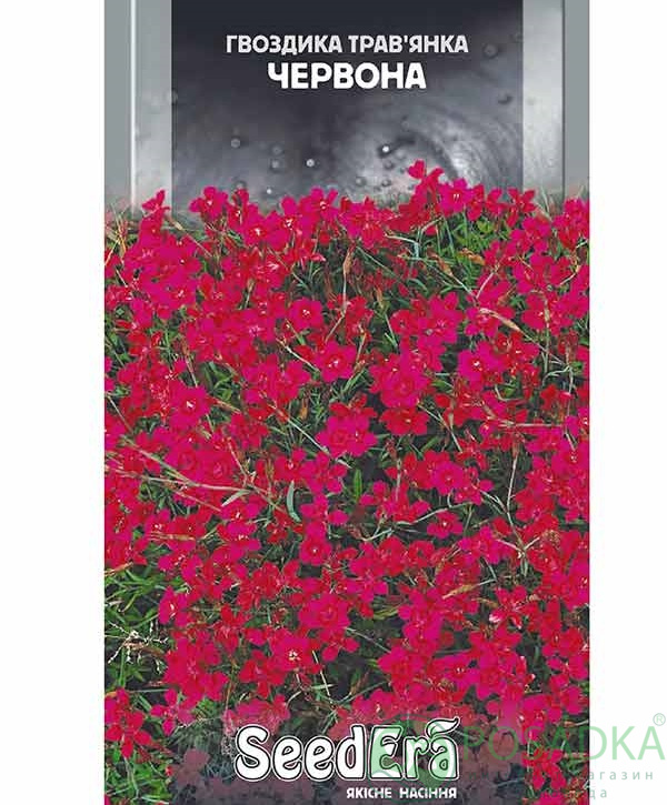 картинка Семена Гвоздика-травянка низкорослая красная многолетняя 0,2 г, SeedEra 