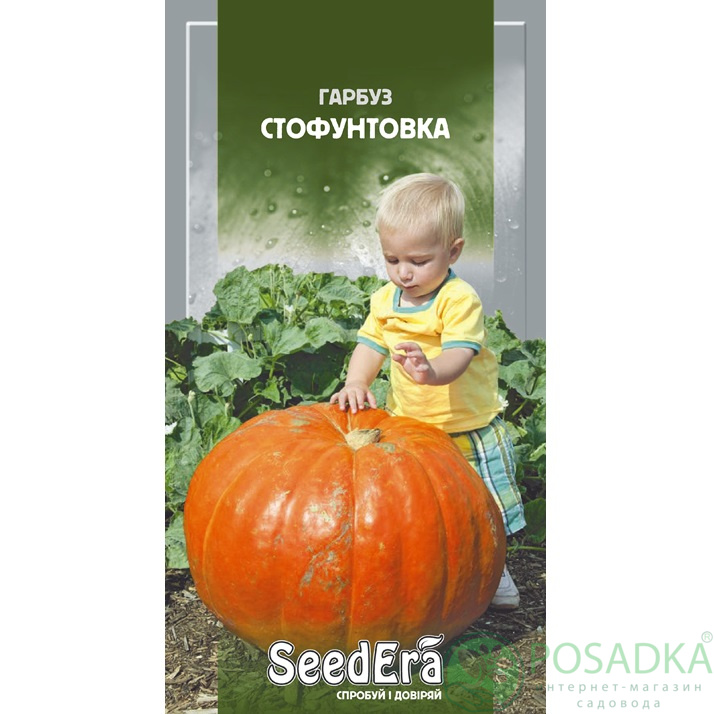 картинка Семена Тыква Стофунтовка 20 г, Seedera 