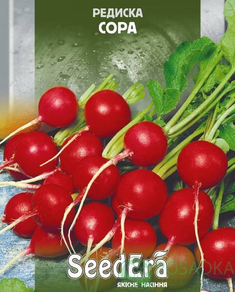 картинка Семена Редис Сора 2г, SeedEra 
