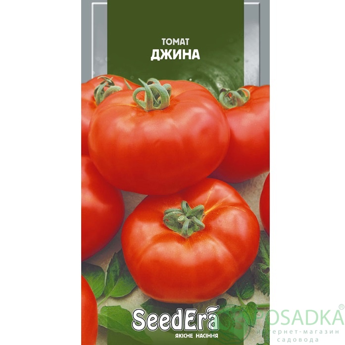 картинка Семена Томат Джина 0.1гр, SeedEra 