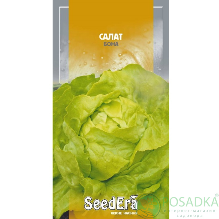 картинка Семена Салат кочанный Бона 1 г, Seedera картинка Семена Салат кочанный Бона 1 г, Seedera