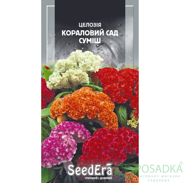 картинка Семена Целозия гребенчатая Коралловый Сад смесь 0,2 г, Seedera 