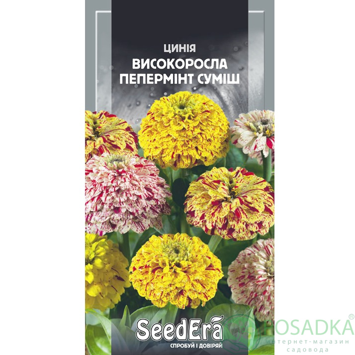 картинка Семена Циния Высокорослая Перминт Смесь 0,5г, Seedera 