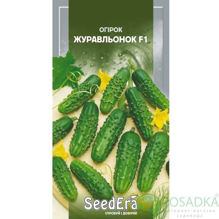 картинка Семена Огурец Журавленок F1, 5 г, Seedera 