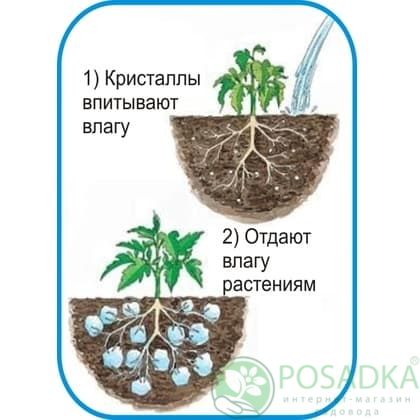 картинка Гидрогель для растений, средняя фракция 100 гр 