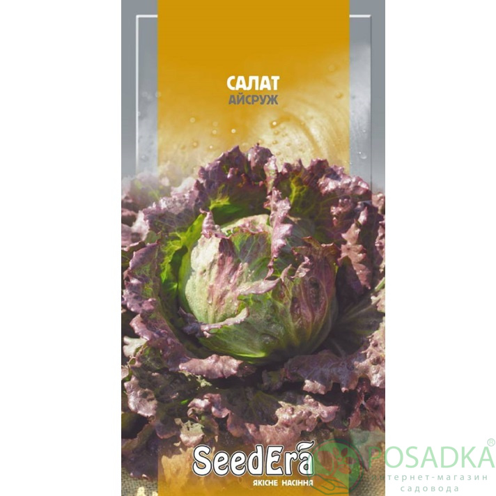 картинка Семена Салат кочанный Айсруж 1 г, Seedera 