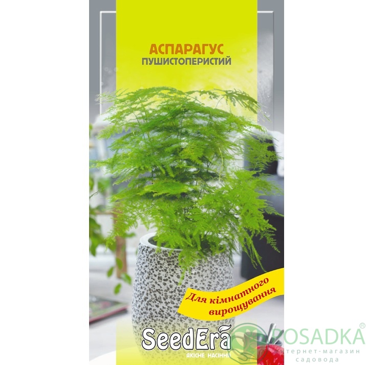 картинка Семена Аспарагус декоративный пушистоперистый 0,1 г, Seedera 