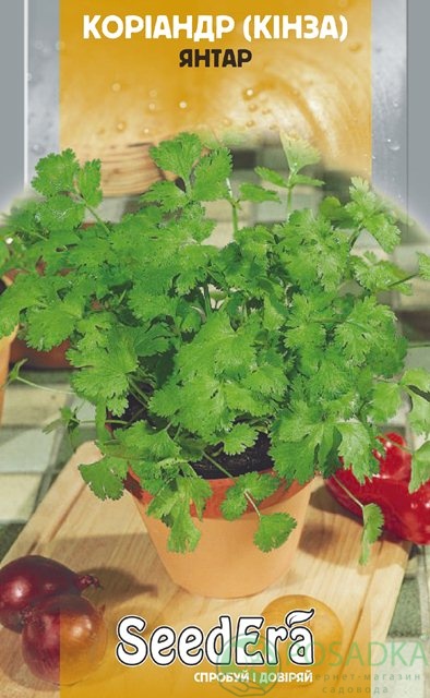 картинка Кориандр (кинза) посевной Янтарь семена (3гр) 