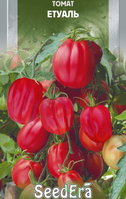 картинка Семена Томат Этуаль 0.1гр, SeedEra 