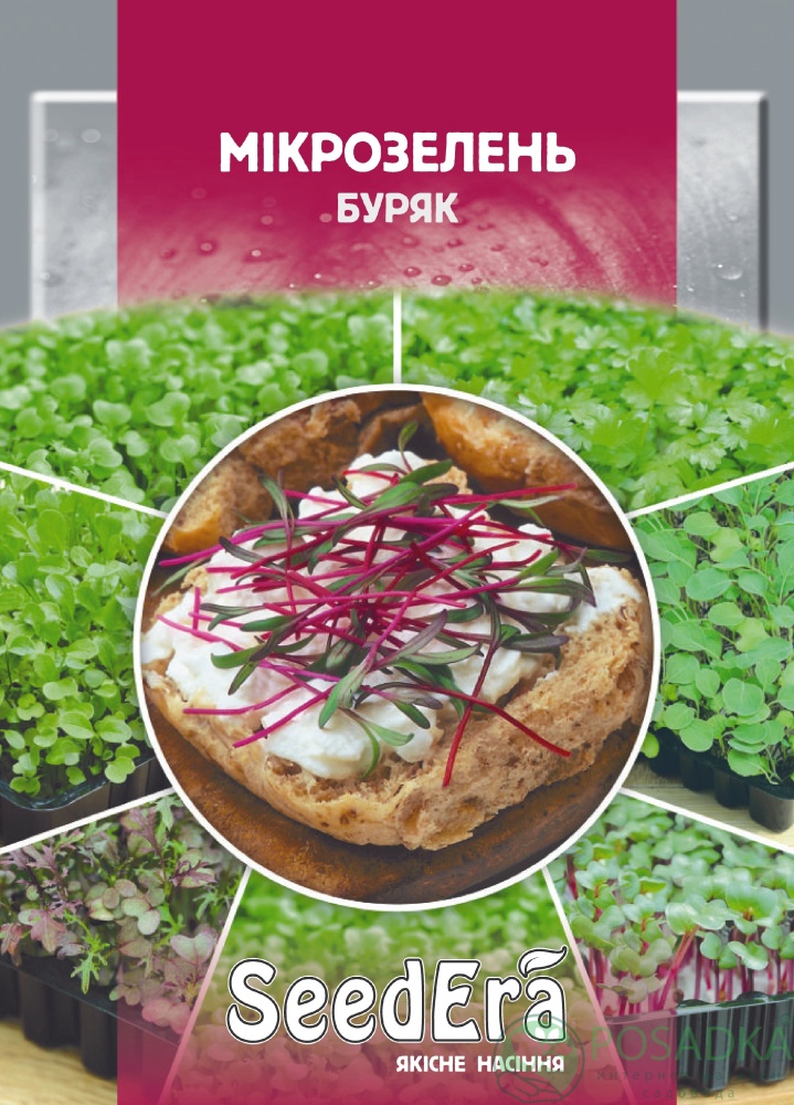 картинка Семена Микрозелень Свекла 10гр, SeedEra 