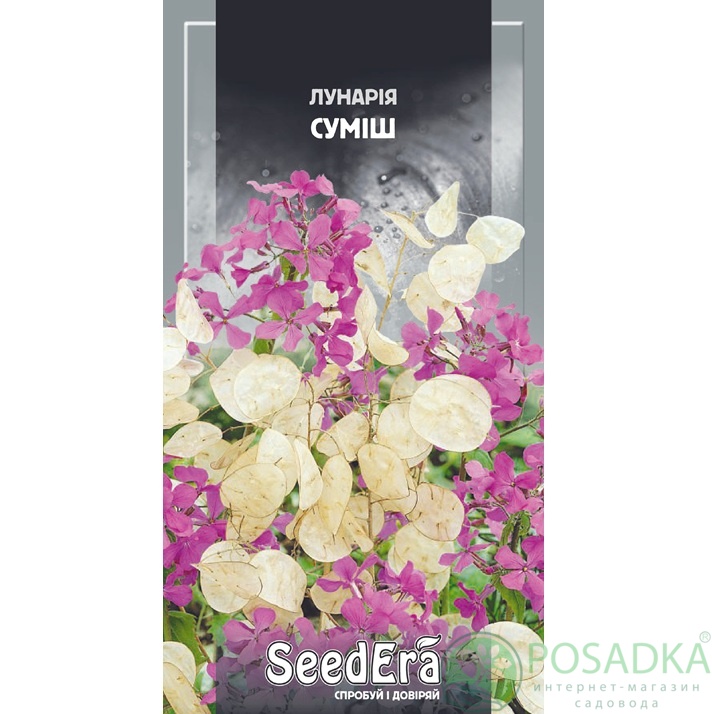 картинка Семена Лунария смесь 0,1 г, Seedera 