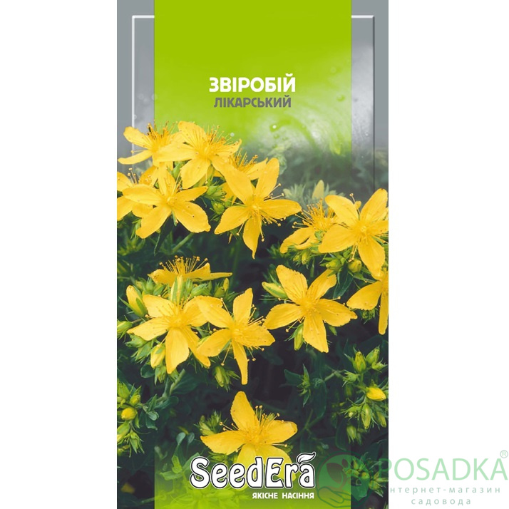 картинка Семена Зверобой 0,1г, Seedera 