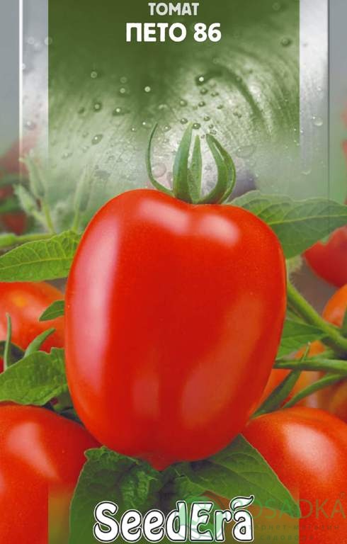 картинка Семена Томат Пето-86 0.1гр, SeedEra 
