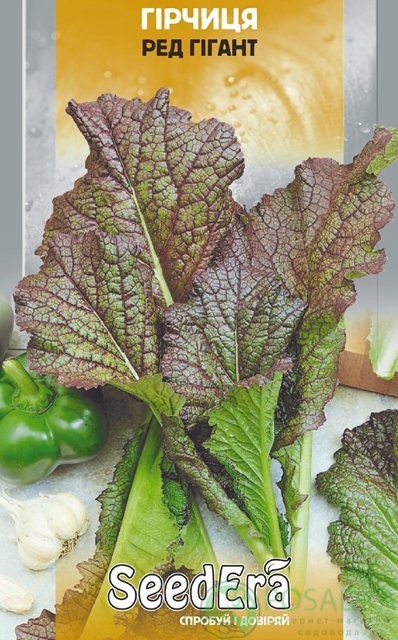 картинка Горчица салатная Ред гигант семена (1гр) 
