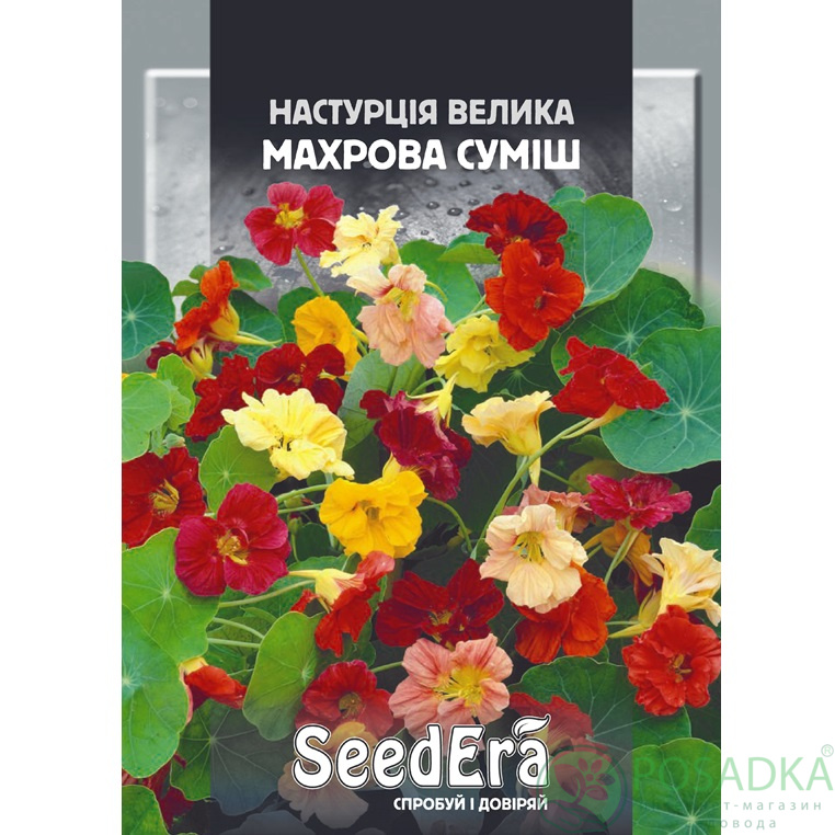 картинка Семена Настурция Культурная Большая Смесь 10 г, Seedera 