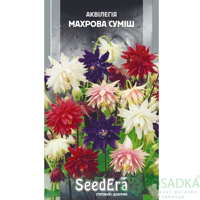 картинка Семена цветы Аквилегия махровая Смесь многолетняя 0,1 г, Seedera 