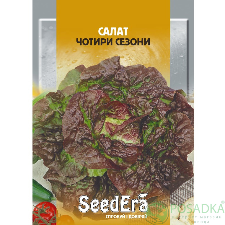 картинка Семена Салат Четыре Сезона 10 г, SeedEra 