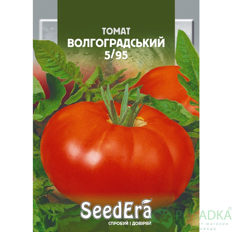картинка Семена томат Волгоградский 5/95 3 г, Seedera картинка Семена томат Волгоградский 5/95 3 г, Seedera