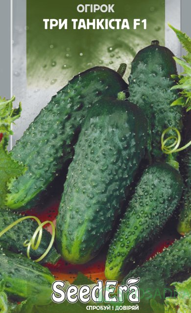 картинка Семена Огурец Три Танкиста F1 10шт, SeedEra 