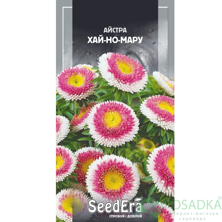 картинка Семена астра среднерослые Хай-но Мару 0.25г, SeedEra картинка Семена астра среднерослые Хай-но Мару 0.25г, SeedEra